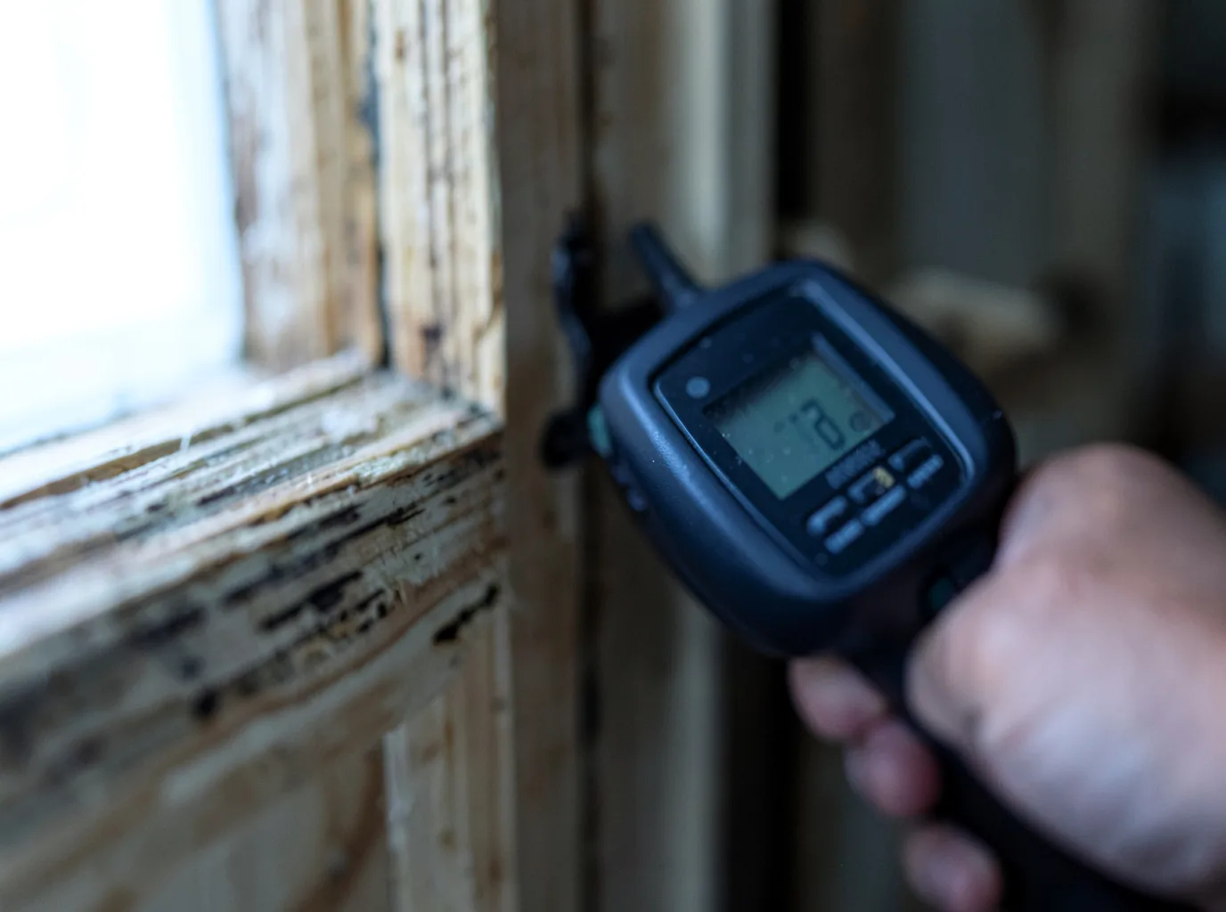 Ceiling Water Damage Repair in Holt, MI
